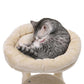 Beige Condo Cat Tree FredCo