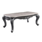 ACME Ariadne Coffee Table, Marble & Platinum FredCo