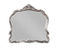 ACME Ausonia Mirror, Antique Platinum Finish FredCo