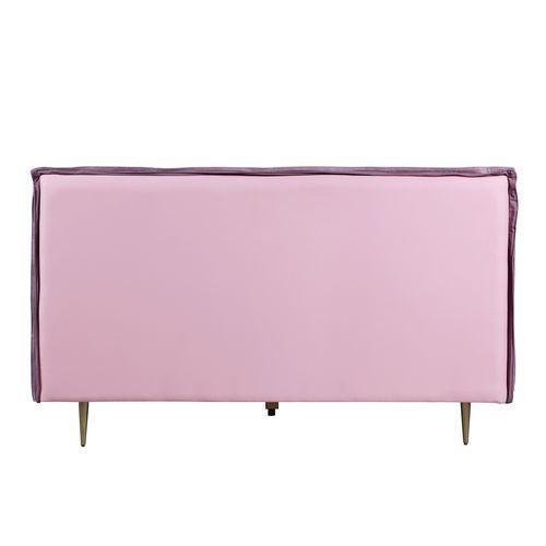 ACME Metis Eastern King Bed, Pink Top Grain Leather FredCo