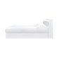 ACME Perse Queen Bed, White Finish FredCo