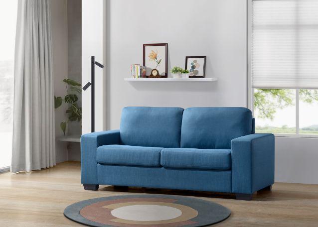 ACME Zoilos Sleeper Sofa, Blue Fabric FredCo