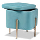 Aleron Contemporary Glam and Luxe Sky Blue Velvet Fabric Upholstered and Gold Finished Metal Storage Ottoman FredCo