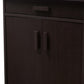 Bienna Modern and Contemporary Wenge Brown Finished Shoe Cabinet FredCo