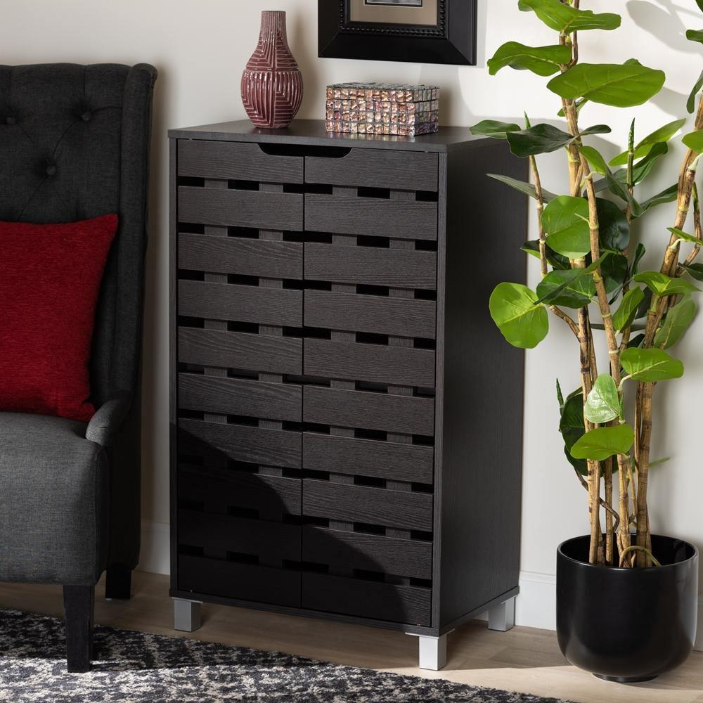 Dark Brown Modern Shoe Cabinet