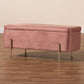 Rockwell Contemporary Glam and Luxe Blush Pink Velvet Fabric Upholstered and Gold Finished Metal Storage Bench FredCo