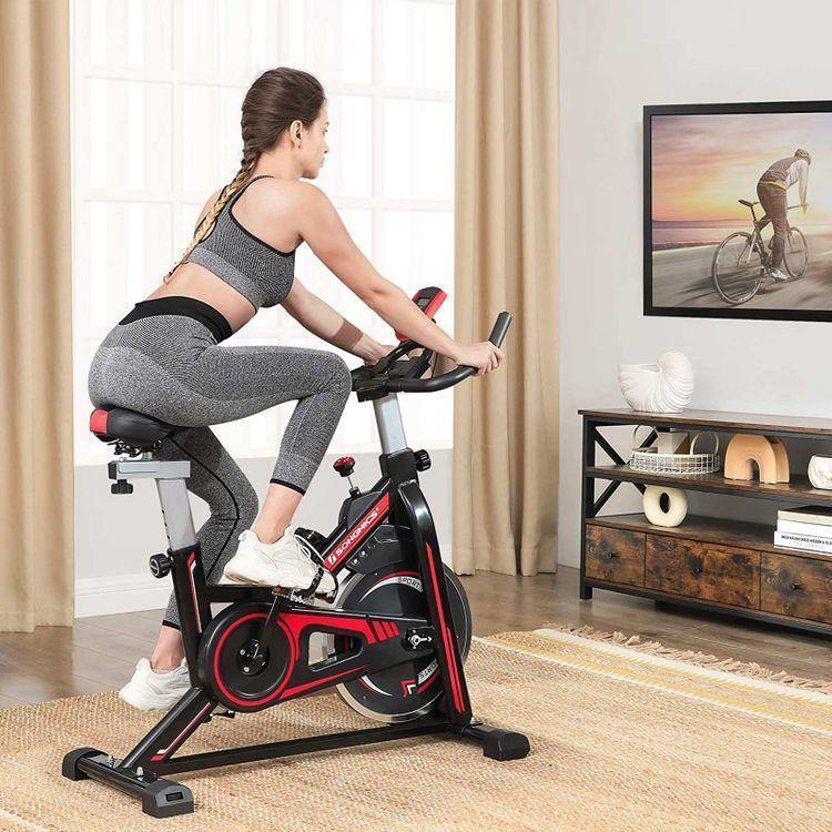 Stationary Bike Black and Red FredCo